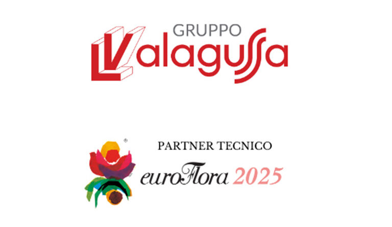 partner tecnico