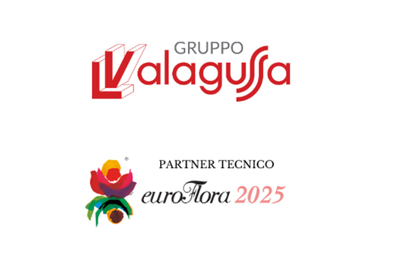 partner tecnico